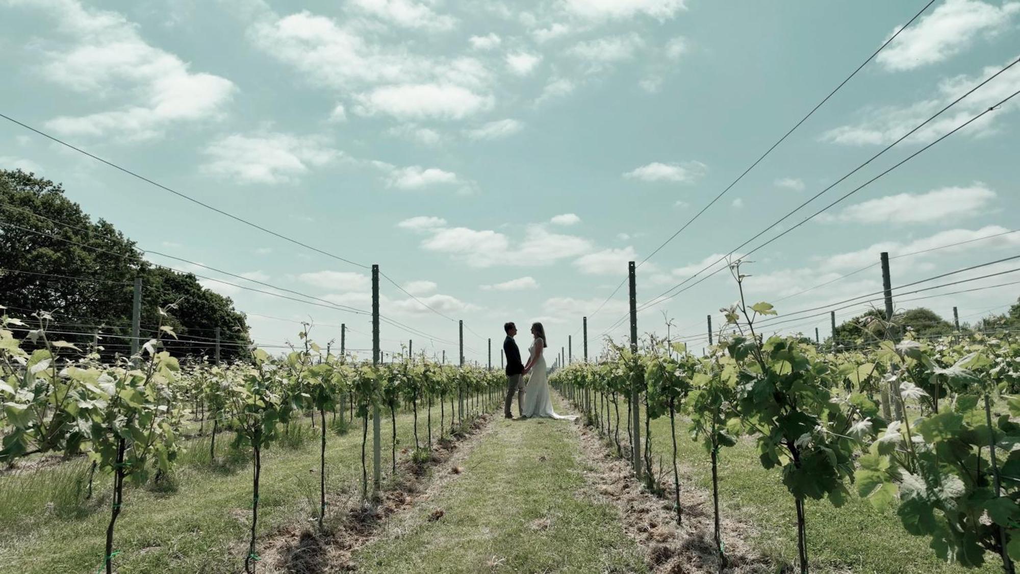 Pinkmead Estate And Vineyard Βίλα Osborne  Εξωτερικό φωτογραφία